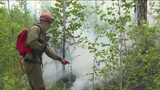 В Якутии ведется работа по тушению 51 лесного пожара