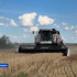 Саха сирин аграрийдара туораахтаах култуураҕа региоҥҥа хаһан да буолбатах көрдөрүүгэ чугаһаатылар
