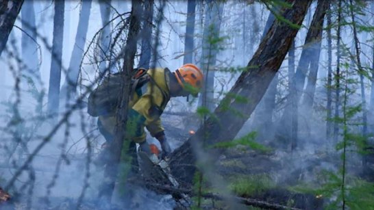 В Якутии за прошедшие сутки ликвидирован 21 лесной пожар