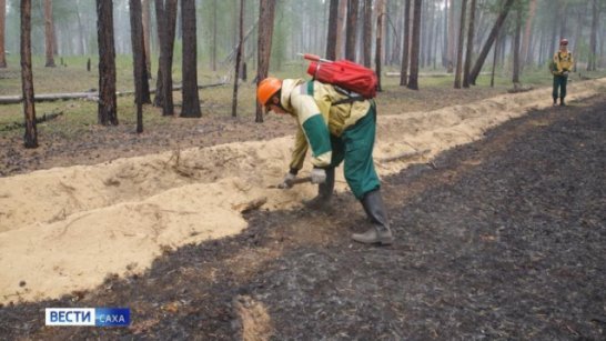 В нескольких районах Якутии ожидается повышение класса пожарной опасности леса