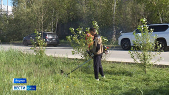 Во всех округах Якутска проходит сезонный скос травы