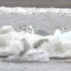 Спад уровня воды у села Саныяхтах Олекминского района продолжается