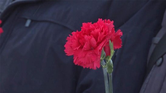 Ильмень күөлгэ өлбүт буойуттары кэриэстээтилэр