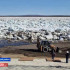 В Среднеколымском районе объявлен режим чрезвычайной ситуации