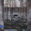 В Якутии жители замечают медведей вблизи населённых пунктов