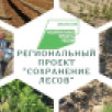 Более 780 тысяч гектаров леса восстановили в Якутии