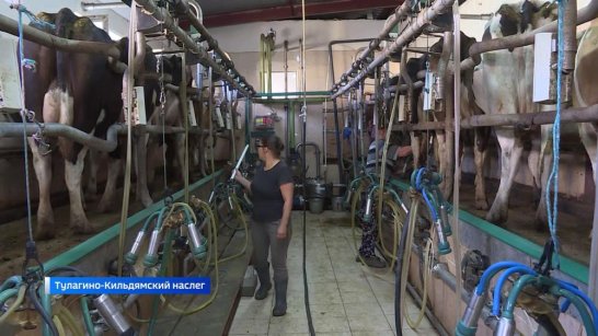 Порядка 40 тысяч тонн сырого молока заготовлено в Якутии