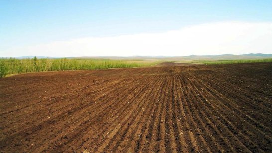 В Якутии направят 100 млн рублей 35 сельхозтоваропроизводителям