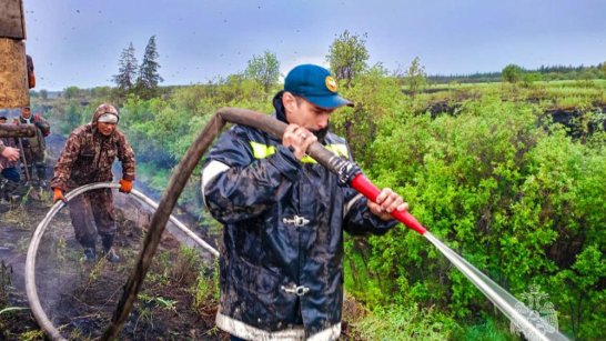 В Якутии за сутки ликвидировано свыше 20 природных пожаров