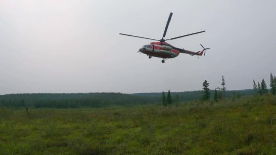 Оперативная информация о лесных пожарах в Якутии на 2 сентября