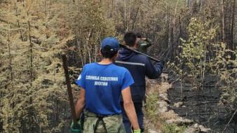 В Якутии за прошедшие сутки ликвидировано 7 природных пожаров