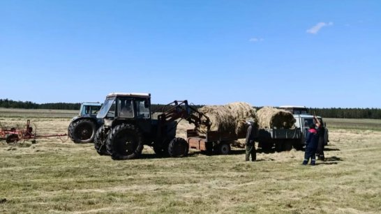 Более 1,6 тысяч звеньев заготавливают сено в Якутии