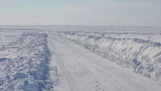 В Якутии по автозимникам доставлено почти 86 тысяч тонн жизнеобеспечивающих грузов