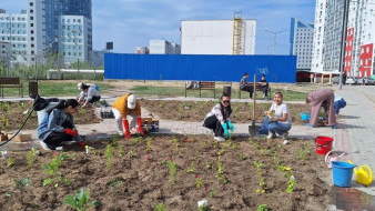 В Якутске активно приступили к цветочному озеленению