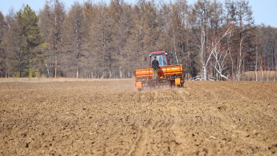 В Якутии перевыполнен план по посеву зерновых