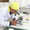 Бастыҥ буоһатааччыны быһаардылар