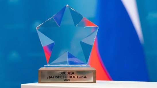 Более 150 проектов претендуют на премию "Звезда Дальнего Востока"