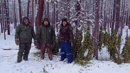 В Олекминском районе инспекторы проводят мероприятия для сохранения популяции косуль