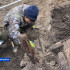 Артефакты каменного века. Ученые провели масштабные раскопки на Медвежьих островах и Хангаласском районе