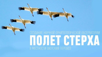 В Якутии разработали три маршрута автоэкспедиций к орнитологической обсерватории "Полет Стерха"