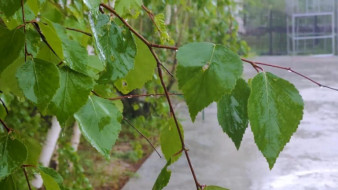 29 июля. День в истории - даты, события