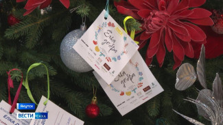 Порядка 7000 якутян приняли участие в благотворительной акции "Ёлка добра"