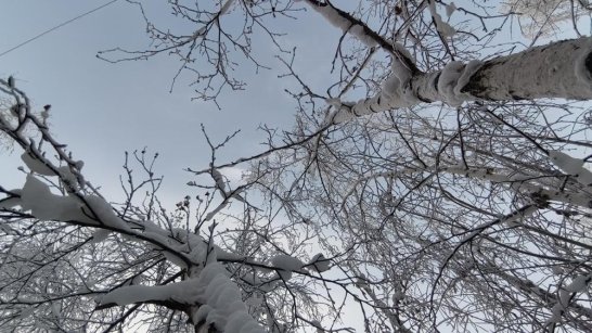 Прогноз погоды в Якутске на 9 января