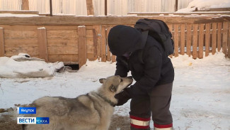 Жители Якутска помогают пункту передержки безнадзорных животных
