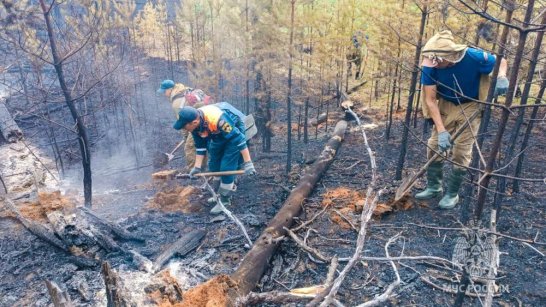 На территории Якутии сохраняются высокие классы пожароопасности леса