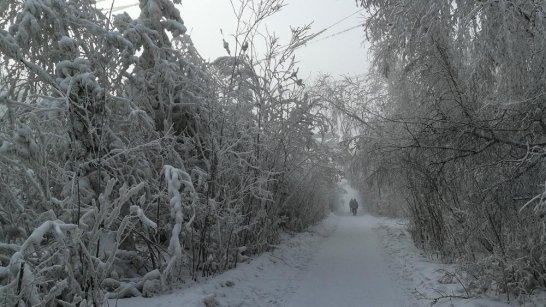 26 февраля в нескольких районах Якутии ожидаются сильный ветер и метели