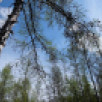 Прогноз погоды в Якутии на 8 июня