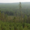 На территории Якутии действующих природных пожаров нет