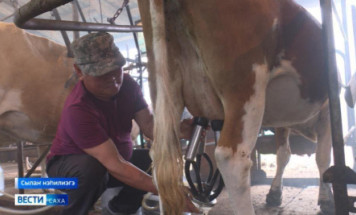 В Якутии достигнут наилучший за последние 10 лет показатель заготовки молока