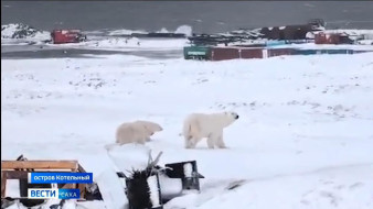 Выпуск "Вести Саха" 18.10.2025 (14:30)