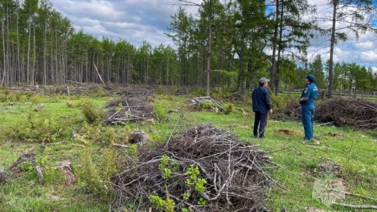 14 виновников в возникновении лесных пожаров установлены дознавателями МЧС Якутии