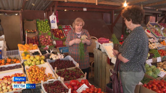На Крестьянском рынке Якутска сезонные поставки свежих продуктов обеспечивают местные хозяйства