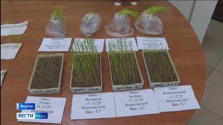 Итоги 2025 года подвели в Минсельхозе Якутии