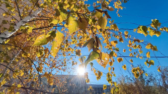 Прогноз погоды в Якутии на 19 сентября