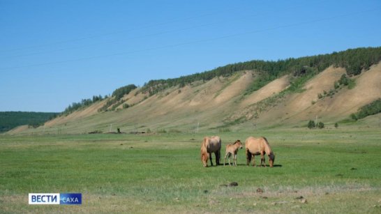 Прогноз погоды в Якутии на 4 июля