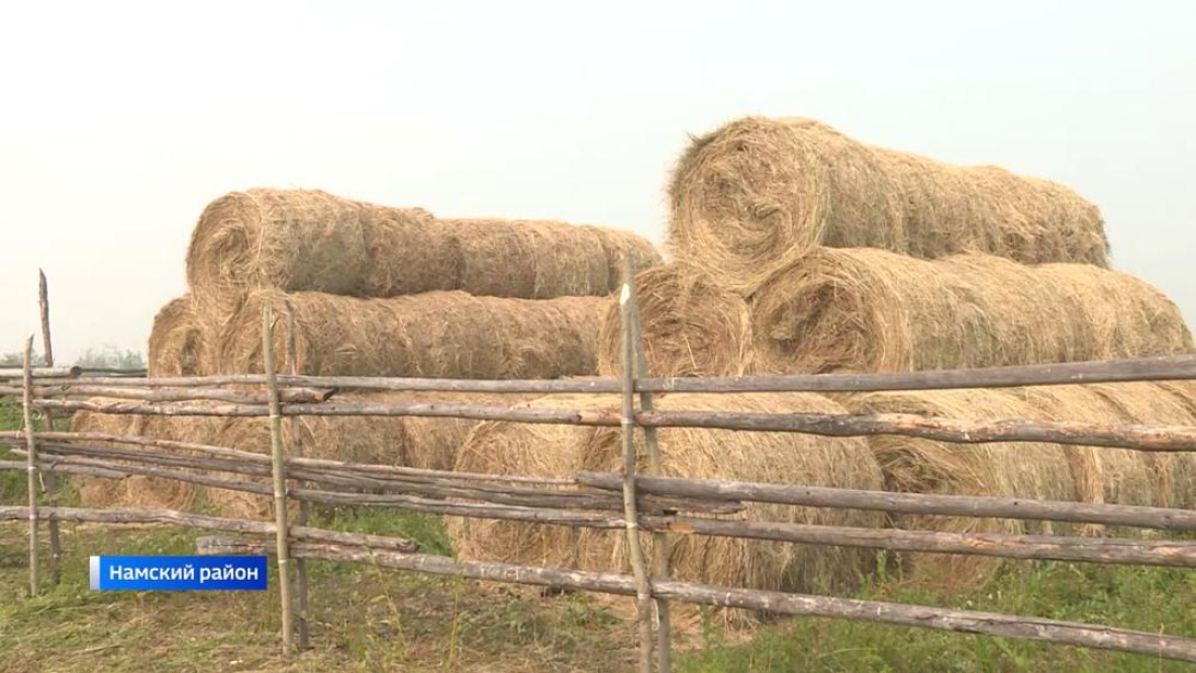 Заготовка сена в Якутии. Компания по заготовке сена. Цена тонны сена в 2023 году.