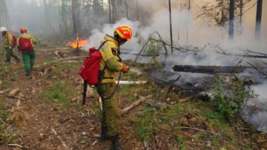 В Якутии за сутки огнеборцами ликвидированы 11 лесных пожаров