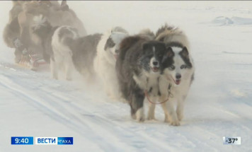 Выпуск "Вести Саха" 08.12.2025 (09:30)