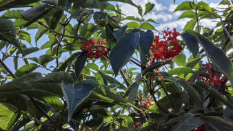 Прогноз погоды в Якутии на 19 августа