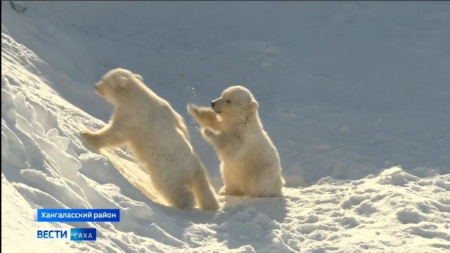 Выпуск "Вести Саха" 27.03.2024 (21:05)
