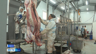 Хатас нэһилиэгэр буойуна сыаҕа аһылынна