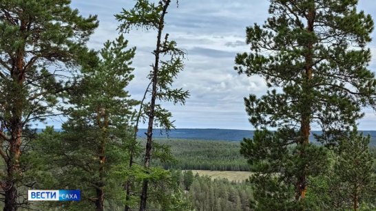 94 огнеборца тушат лесной пожар в Оленёкском районе Якутии