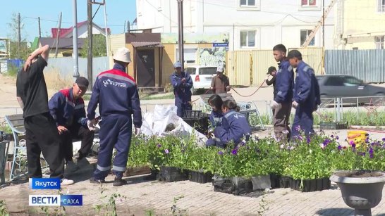 В Якутске продолжается реализация трудового проекта студотрядов "Острог-2024"