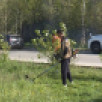 Во всех округах Якутска проходит сезонный скос травы