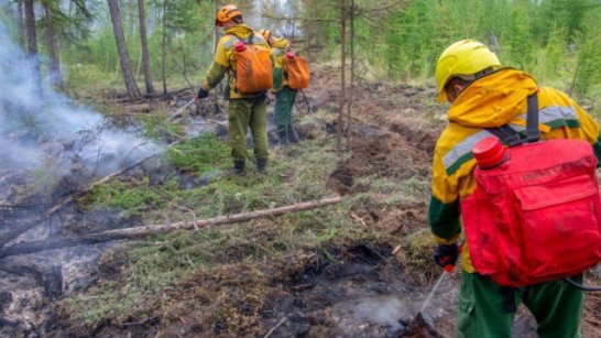 В Якутии за прошедшие сутки ликвидировано 15 лесных пожаров