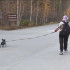 В южных районах Якутии температура поднимется до +17 градусов